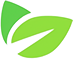 CSIK leaf logo icon